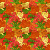 Autumn Leaves - 12